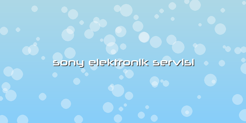 Sony Elektronik Servisi