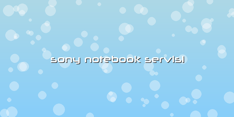 Sony Notebook Servisi