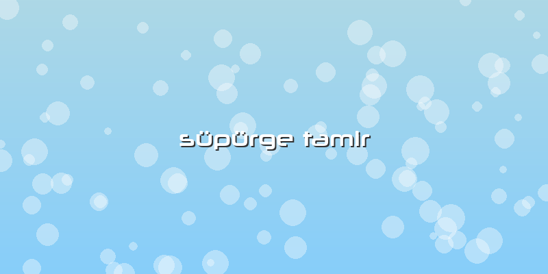 Süpürge Tamir