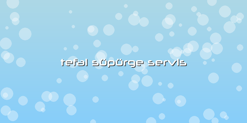 Tefal Süpürge Servis