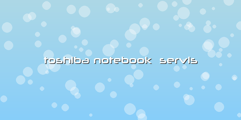 Toshiba Notebook  Servis