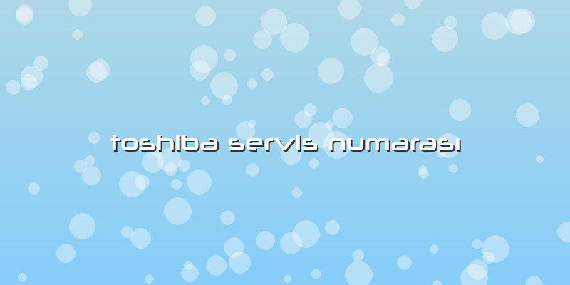 Toshiba Servis Numarası