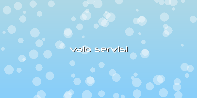 Vaio Servisi