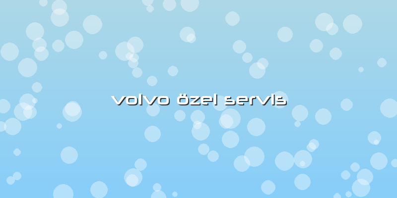 Volvo özel Servis