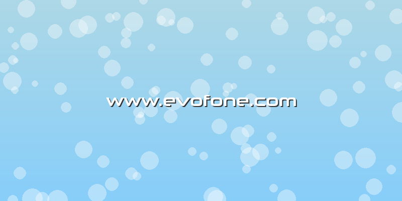 Www.evofone.com
