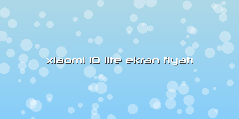 Xiaomi 10 Lite Ekran FiyatÄ±