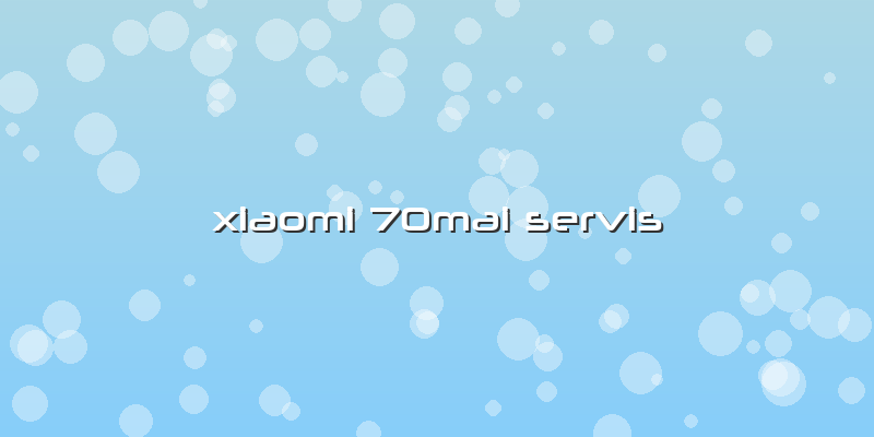 Xiaomi 70mai Servis