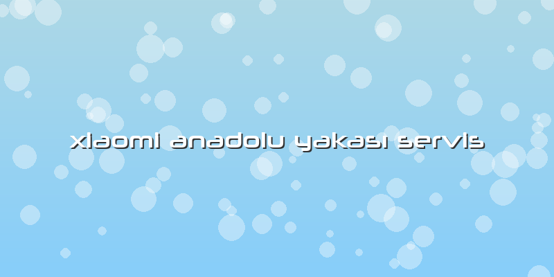Xiaomi Anadolu Yakası Servis