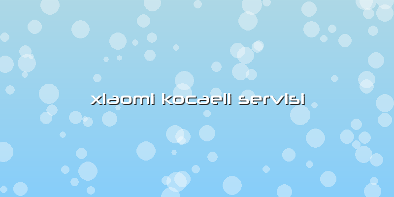 Xiaomi Kocaeli Servisi