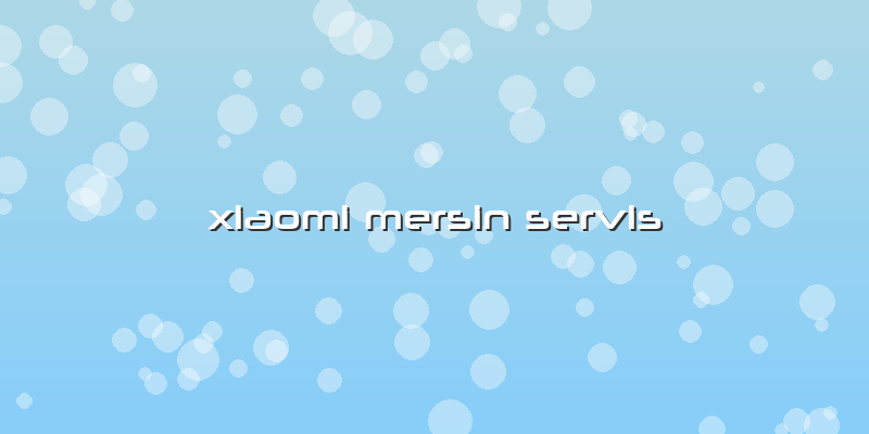 Xiaomi Mersin Servis