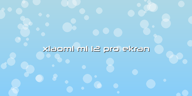 Xiaomi Mi 12 Pro Ekran