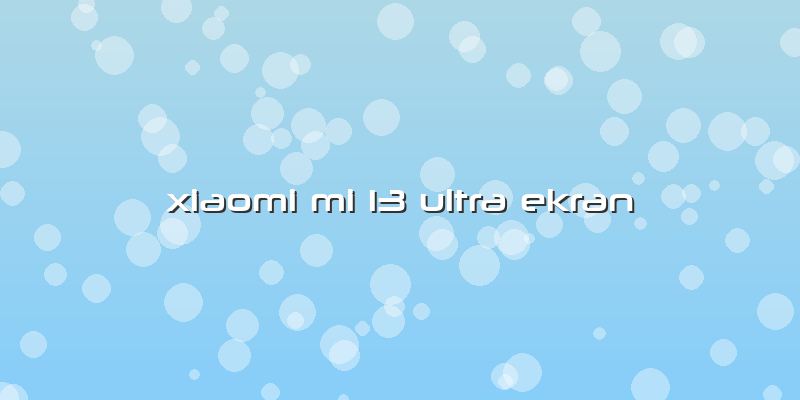 Xiaomi Mi 13 Ultra Ekran