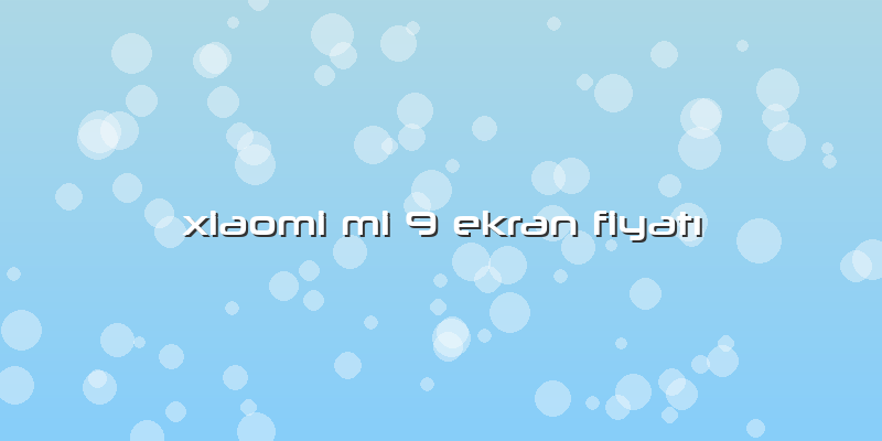 Xiaomi Mi 9 Ekran Fiyatı