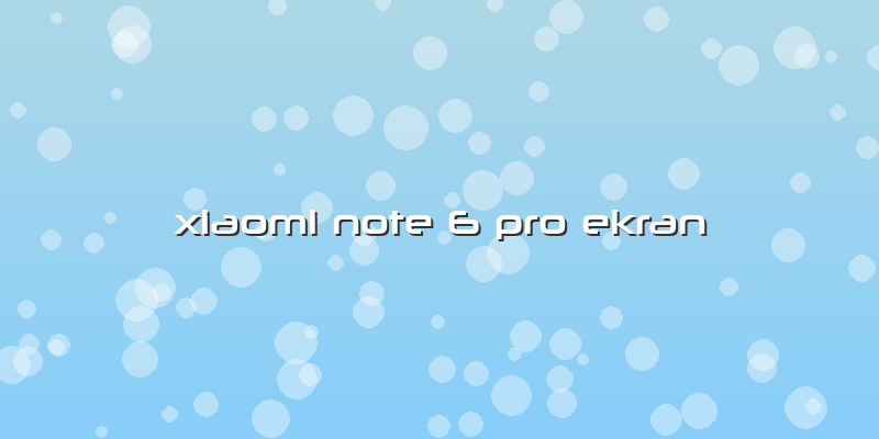 Xiaomi Note 6 Pro Ekran
