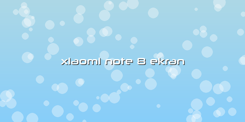 Xiaomi Note 8 Ekran