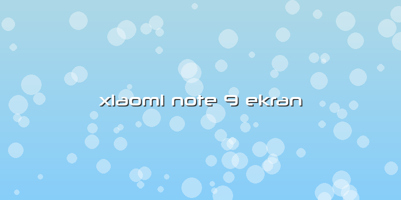 Xiaomi Note 9 Ekran