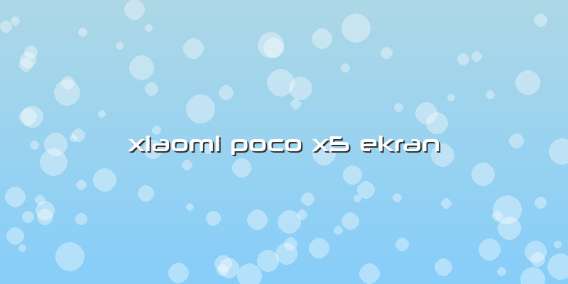 Xiaomi Poco X5 Ekran