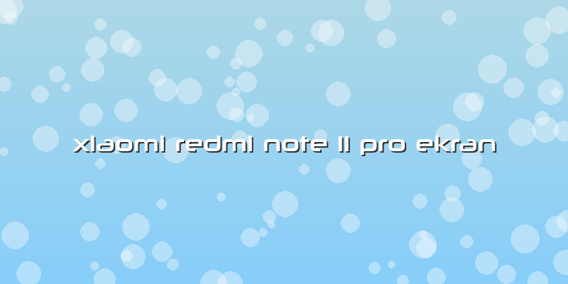 Xiaomi Redmi Note 11 Pro Ekran