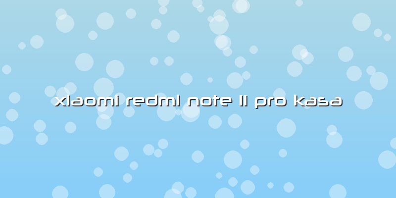 Xiaomi Redmi Note 11 Pro Kasa