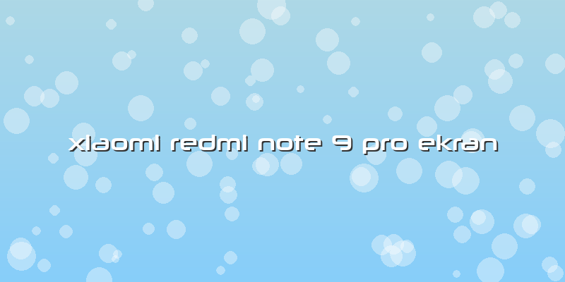 Xiaomi Redmi Note 9 Pro Ekran