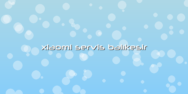 Xiaomi Servis BalÄ±kesir