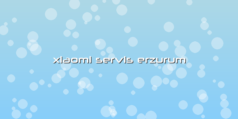 Xiaomi Servis Erzurum