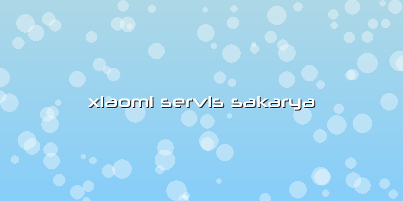 Xiaomi Servis Sakarya