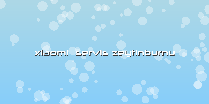 Xiaomi  Servis Zeytinburnu