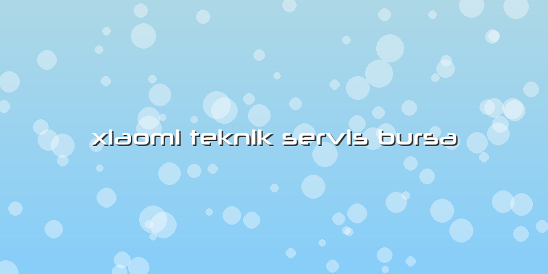 Xiaomi Teknik Servis Bursa