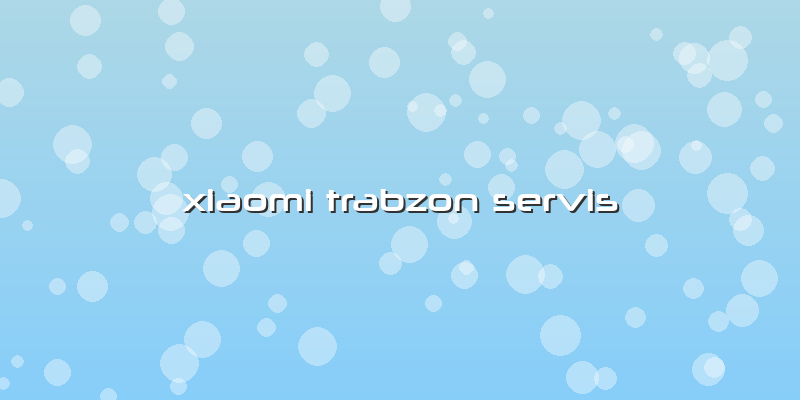 Xiaomi Trabzon Servis